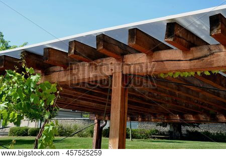 Terrace With Wooden Pergola And Plexiglass Roof. Vines Are Straining, Crawling Under The Beams. Gard