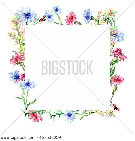 Frame With Meadow Colorful Flowers Watercolor Illustration Isolated.