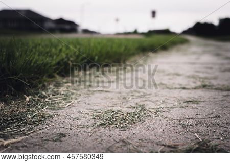 Grass Clippings Strewn Across A Residential Sidewalk After Mowing.