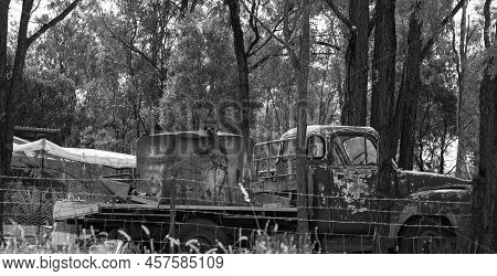 Old Rusting Truck With A Water Tank On The Back Sitting Rotting Away Amongst The Trees On The Fossic