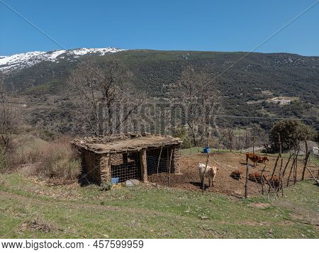 View Of The Area Of The Town Of Trevelez, In The Sierra Nevada Of Andalusia, Spain