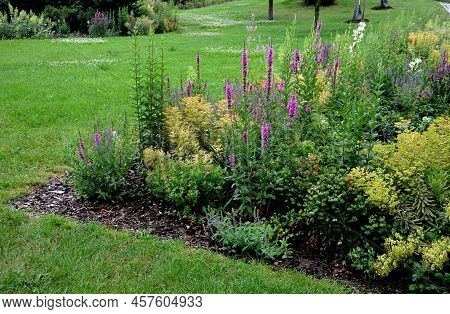 Beds Of Newly Planted Flowers Are Planted And Mulched With Bark. Bluebells And Cypresses, Paths Stre