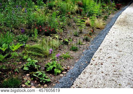 Beds Of Newly Planted Flowers Are Planted And Mulched With Bark. Bluebells And Cypresses, Paths Stre