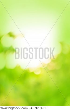 Green Bokeh Nature Defocus Blur Background. Blurry Green Color Bokeh Backdrop