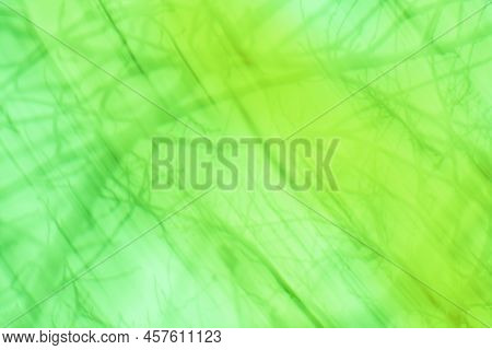 Blurred City Park On Background. Bokeh Blur Green Tree Background.