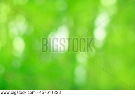 Abstract Neutral Green Bokeh Background With Copy Space