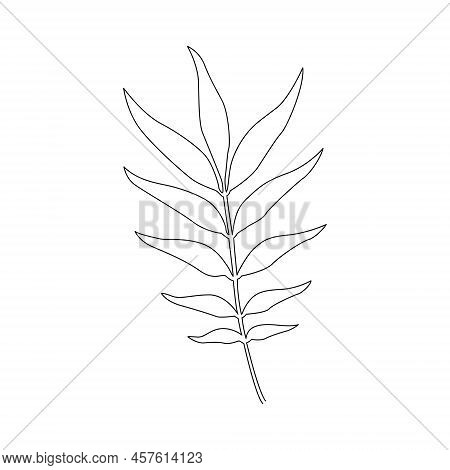 Leaf Icon With Hand Drawn Lines. Vector.
