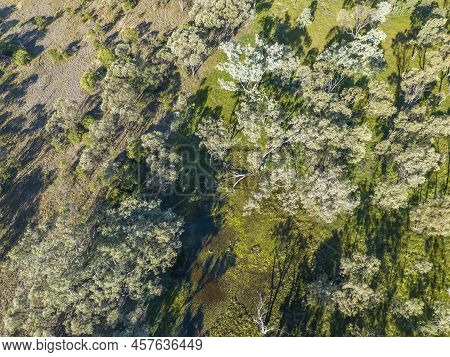 Looking Down Over A Pool Of Swampy Water Within The Sapphire Wetlands Nature Reserve Queensland Aust