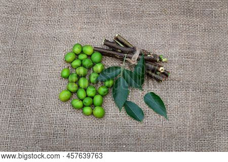 Neem Leaves, Branches,  Fruits On Jute Fabric Background. Margosa Leaf, Stems, Seeds For Ayurveda Me