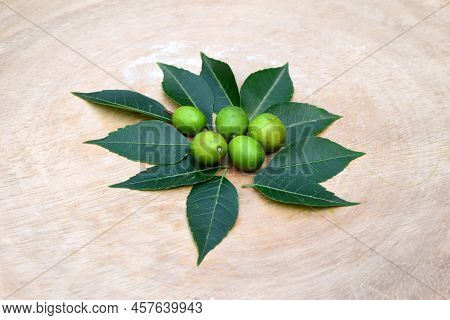 Medicinal Herbs Neem Leaves, And Fruits On Wooden Background. Neem Seeds With Leaf Around On Wood Ba