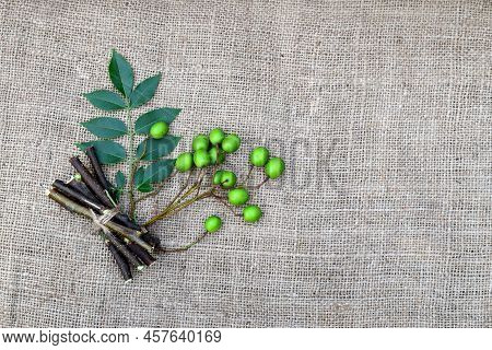 Neem Leaves,  Fruits, And Stems On Jute Fabric Background. Medicinal Neem Seeds, Leaf, Branches For 