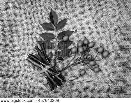 Neem Leaves,  Fruits, And Stems On Jute Fabric Background. Medicinal Neem Seeds, Leaf, Branches For 