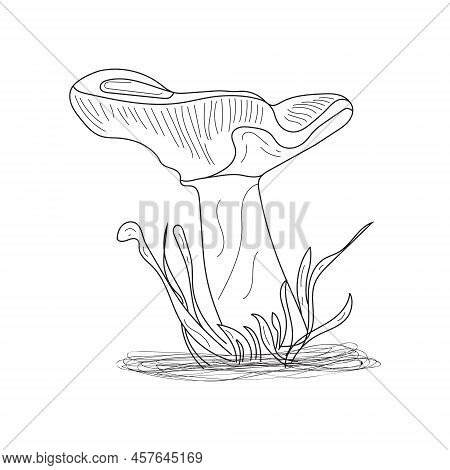 Abstract Mushrooms Line Art. A Symbol Of The Autumn, Forest, And Harvest