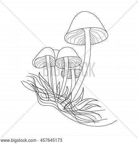 Mushrooms Line Art. A Symbol Of The Autumn, Forest, And Harvest. Black Line Art