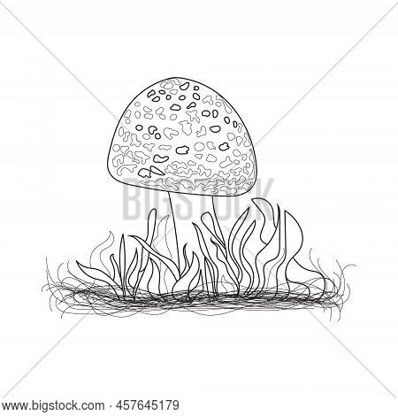 Mushrooms Line Art. A Symbol Of The Autumn, Forest, And Harvest. Mushroom Illustration.