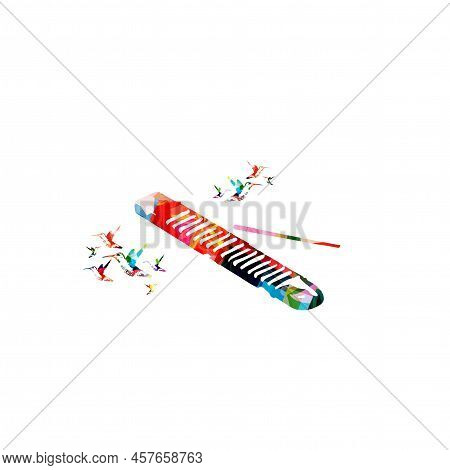 Reco-reco, Brazilian Capoeira Musical Instrument, Colorful With Hummingbirds Vector Illustration