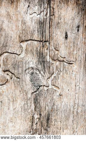 Photography Of Textured Hardwood No People Picture As A Design Of Perfect Simplicity Of A Death Mate