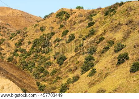 Dry Grasslands During Drought Conditions With Chaparral Plants On Rural Hills Besides A Canyon Taken