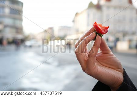 Holding Up A Half-eaten Strawberry In The City