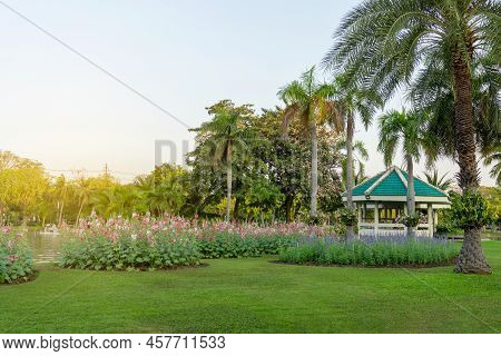Red And Pink Hollyhock And Blue Salvia Flower Garden Blooming On Fresh Green Grass Smooth Lawn Carpe