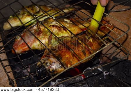 Grilled Fish Nile Tilapia On Charcoal Grill Grilled Fish Nile Tilapia On Charcoal Grill