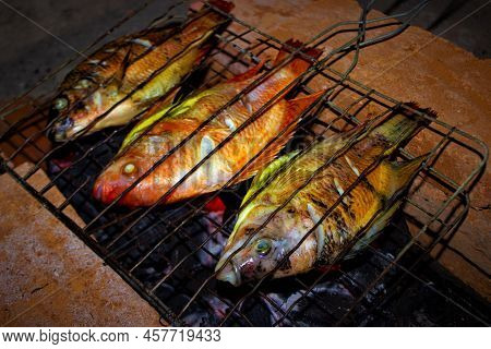 Grilled Fish Nile Tilapia On Charcoal Grill Grilled Fish Nile Tilapia On Charcoal Grill