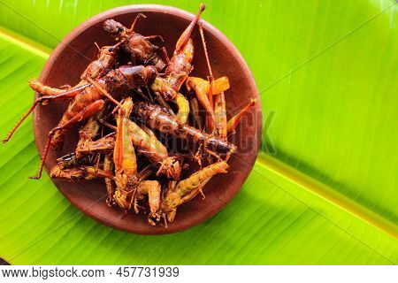 Fried Grasshopper Or Belalang Goreng Is Traditional Food From Southeast Asia, Served With Sambal, On