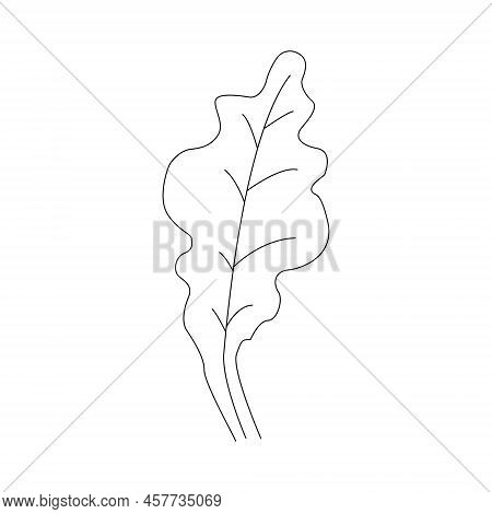 Oak Leaf Linear Icon. Thin Line Illustration. Contour Vector Outline Drawing.