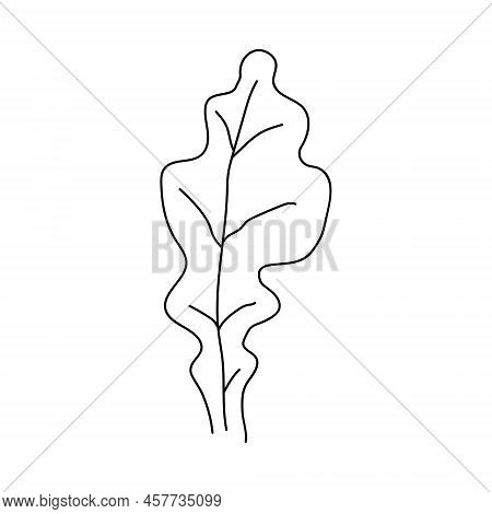 Oak Leaf Linear Icon. Thin Line Illustration. Contour Vector Outline Drawing.
