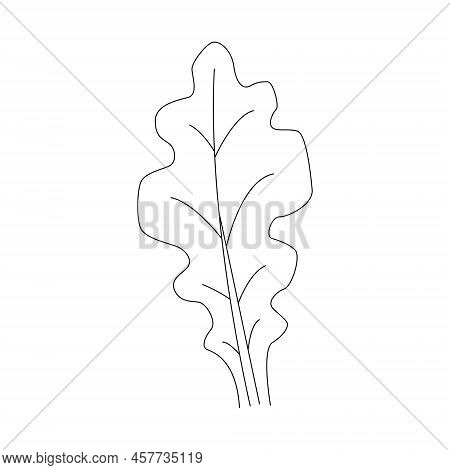 Oak Leaf Linear Icon. Thin Line Illustration. Contour Vector Outline Drawing.