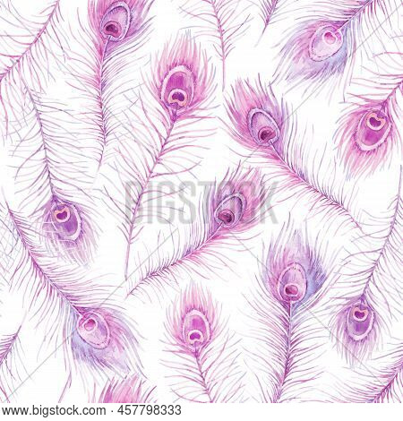 Beautiful Autotraced Vector Seamless Pattern With Watercolor Hand Drawn Pink Peacock Feathers. Stock
