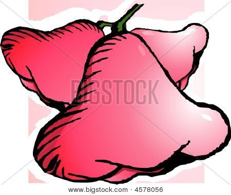 Rose jablka