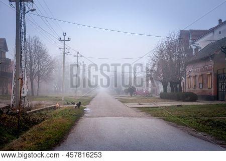 Selective Blur On An Empty Road And Street In The Village Of Vladimirovac In Vojvodina, Banat, Serbi