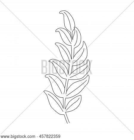 Continuous Line Drawing White Background. Line Illustration. Minimalist Prints. Vector Eps 10.