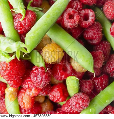 Lots Of Bright Berries And Green Peas. Raspberries, Green Peas In Pods. Summer Berries Together.