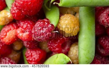 Green Peas In Pods With Raspberries. Red And Yellow Raspberries, Green Pea Pods. Summer Berries And 