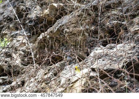 Natural Rock With Mesh To Protect Against Landslides Dangerously Sliding Down The Cliff