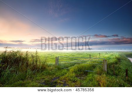 Fense nizozemské zemědělské půdy Misty ranní