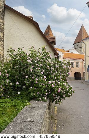 Tallinn, Estonia. July 2022.  View Of Nunna Torn And Kuldjala Torn Towers In The City Center