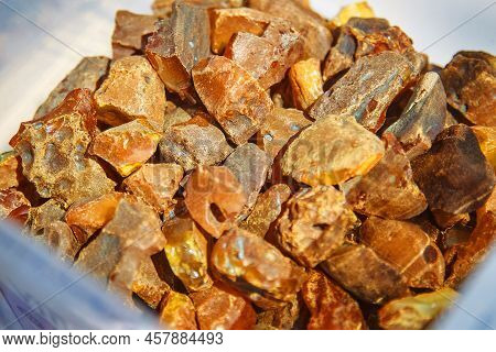 Amber, Mineraloid, Petrified Fossil Tree Resin, Hardened Resin Of The Oldest Coniferous Trees Of The