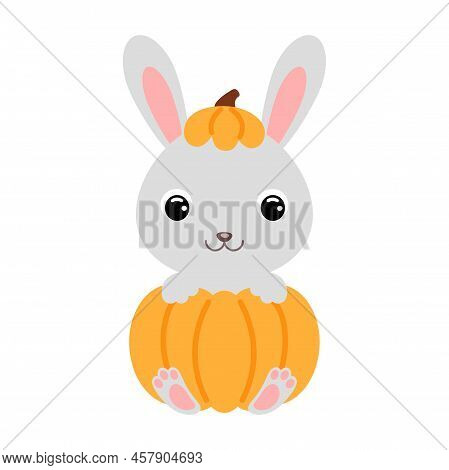Cute Little Rabbit Sitting In A Pumpkin. Cartoon Animal Character For Kids T-shirts, Nursery Decorat