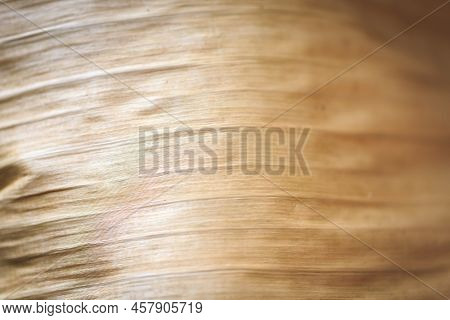 Texture Background Backlight Cinnamon Dry Leaf. Closeup Background Of Beige Banana Leaf Use Space Fo