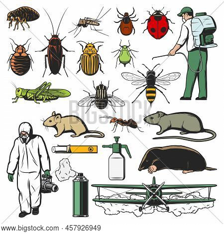 Pests Control Workers, Insects And Animals Sketch Icons. Exterminator In Hazmat Suit, Spraying Pesti