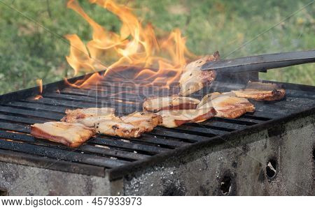 Overturning Meat On Barbeque With Meat Gripper, Food Preparation