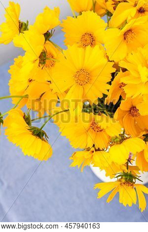 Beautiful Summer Flowers Yellow Chamomile In A Vase, Part Of Home Interior, Cota Tinctoria
