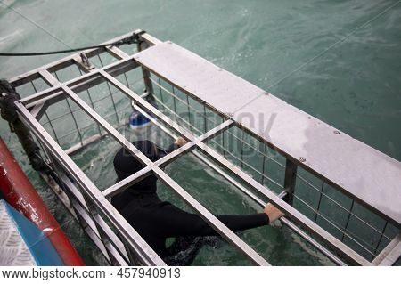 Diver In A Shark Watching Tourist Cage From A Boat In Shark Alley.