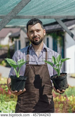 Portrait Of Man-gardener With Perrenial Plants In Hands In Garden Center