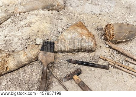 Close-up Detail View Of Archeological Excavation Digging Site With Big Dinosaurus Or Mammoth Bone Re