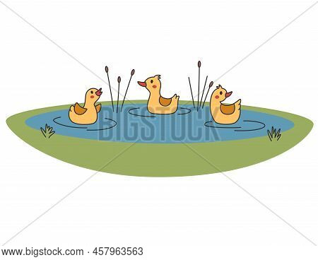 Cute Duckling Swam In Water. Vector Illustration.