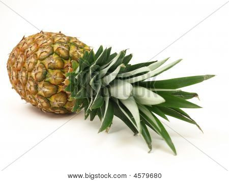 Ananas ananas